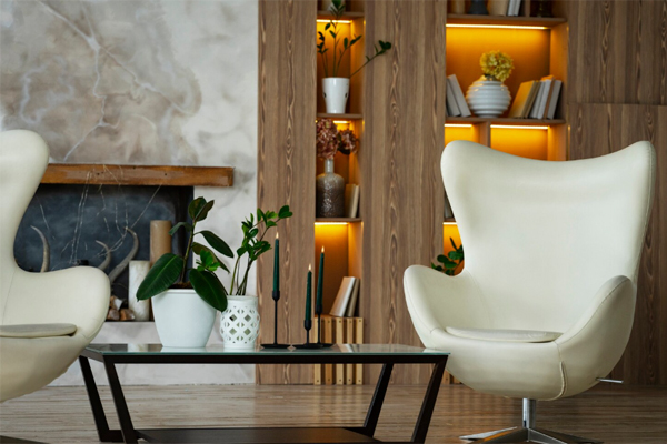 Furniture & Interior
